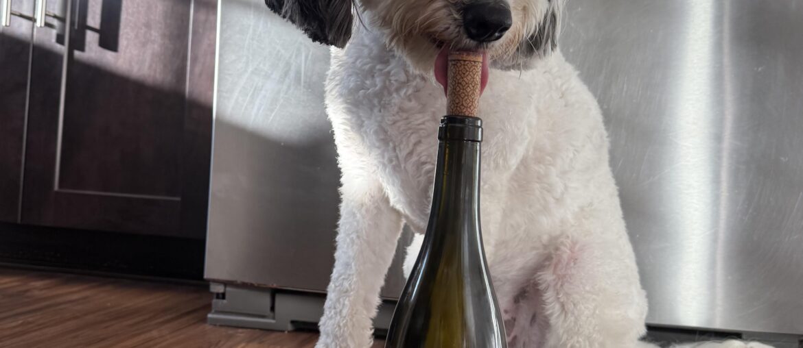 Joseph Jacome Morton 2023