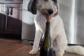 Joseph Jacome Morton 2023