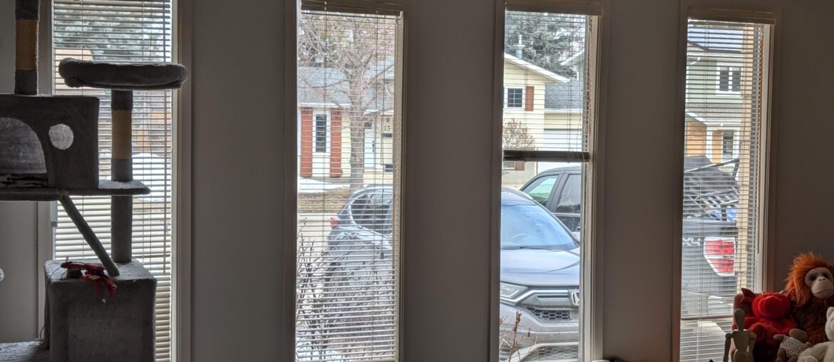 What are some fun window covering options for these windows?