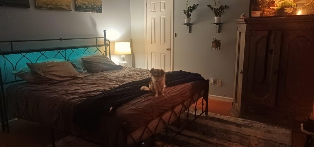I have been slowly decorating our bedroom and would like input on a few things.