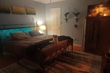 I have been slowly decorating our bedroom and would like input on a few things.