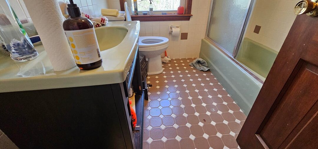 Help Design My 70s Bathroom!?