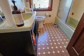 Help Design My 70s Bathroom!?