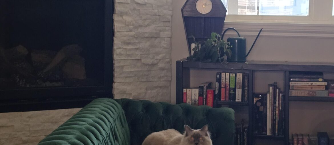 Comfortable Chesterfield couches—do they exist?