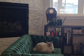 Comfortable Chesterfield couches—do they exist?