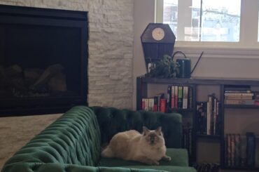 Comfortable Chesterfield couches—do they exist?