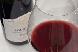 Bourgogne Pinot Noir 2020