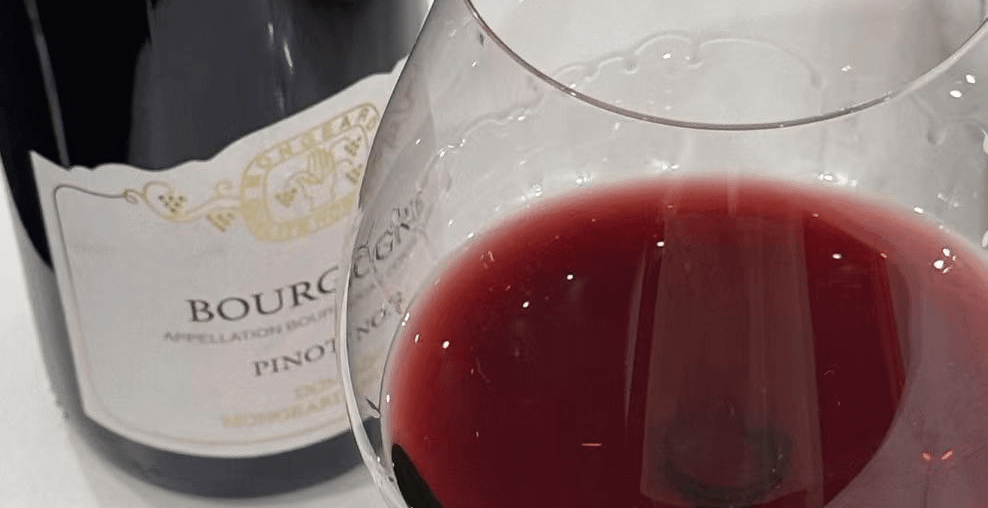Bourgogne Pinot Noir 2020