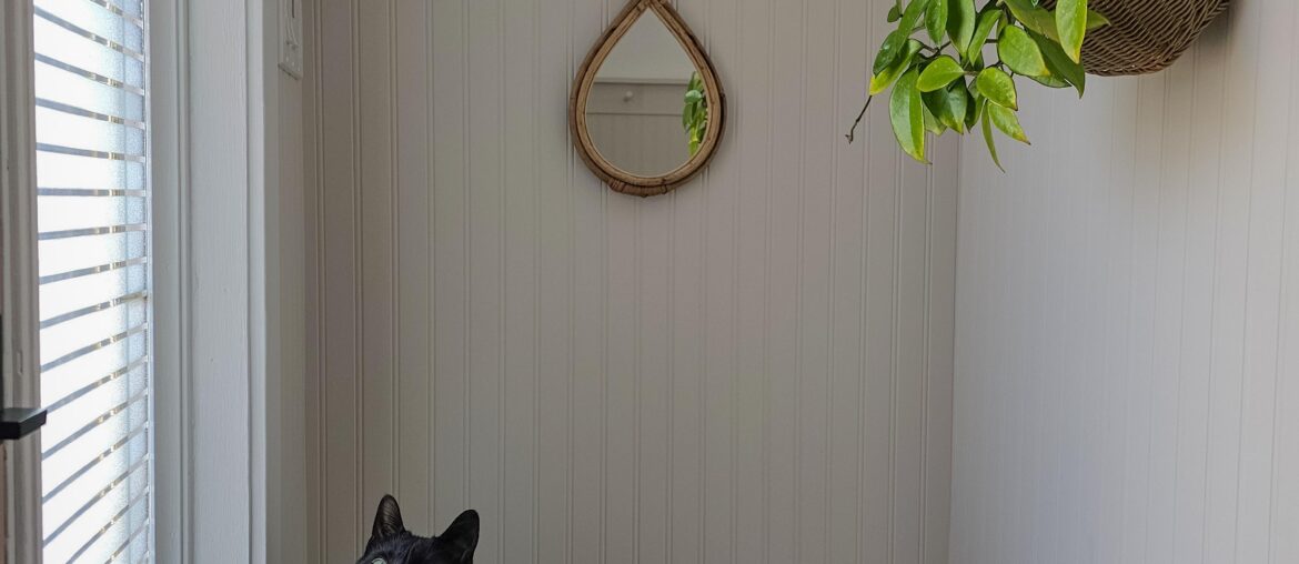 Finishing details in our little entryway 🥰