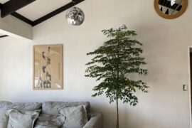 What colour rug and what colour pot for the tree?