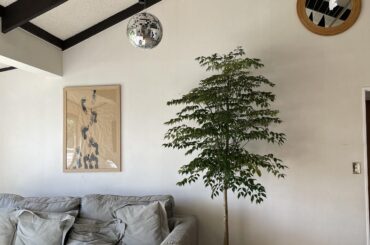 What colour rug and what colour pot for the tree?