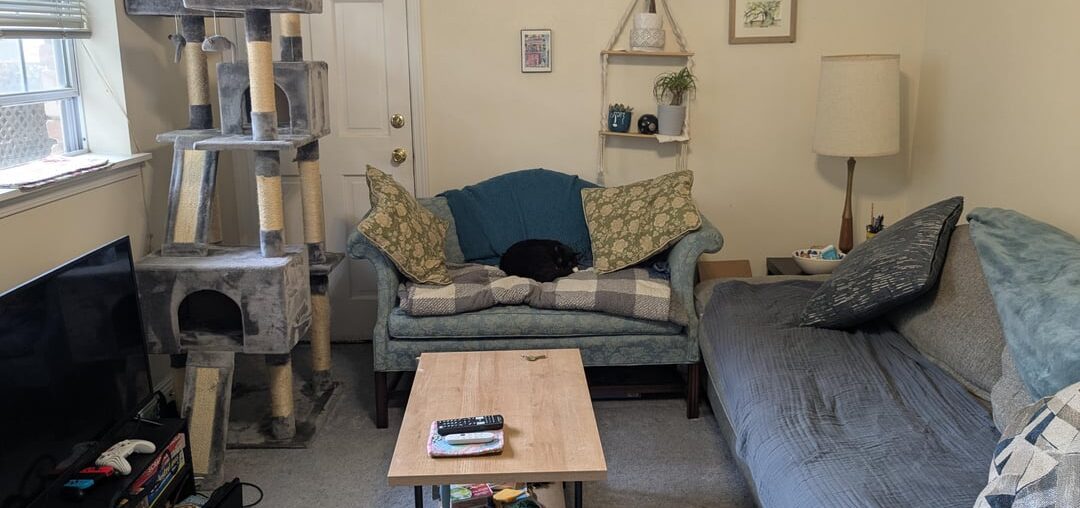 Help with one bedroom apartment