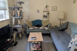 Help with one bedroom apartment