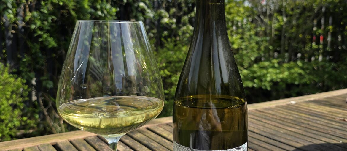 Les Horees Cote de Beaune Les Monsnières 2023