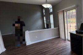 HELP! Northeast facing living room..natural light?