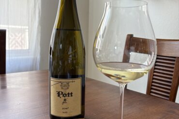 Pott 20m3 2023 Viognier