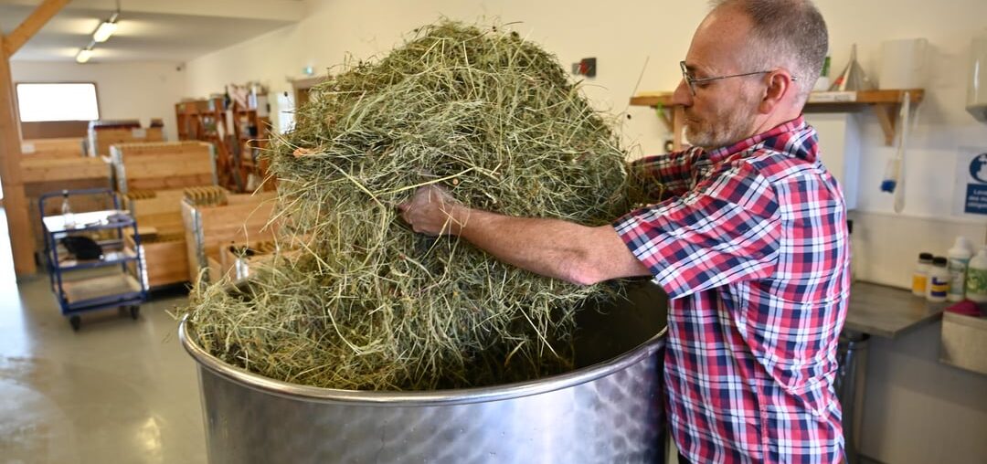 J’ai passé mon enfance à faire les foins dans les Vosges. 20 ans plus tard, avec ma femme, on utilise la biotech pour en faire des apéritifs (avec et sans alcool)