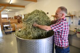 J’ai passé mon enfance à faire les foins dans les Vosges. 20 ans plus tard, avec ma femme, on utilise la biotech pour en faire des apéritifs (avec et sans alcool)