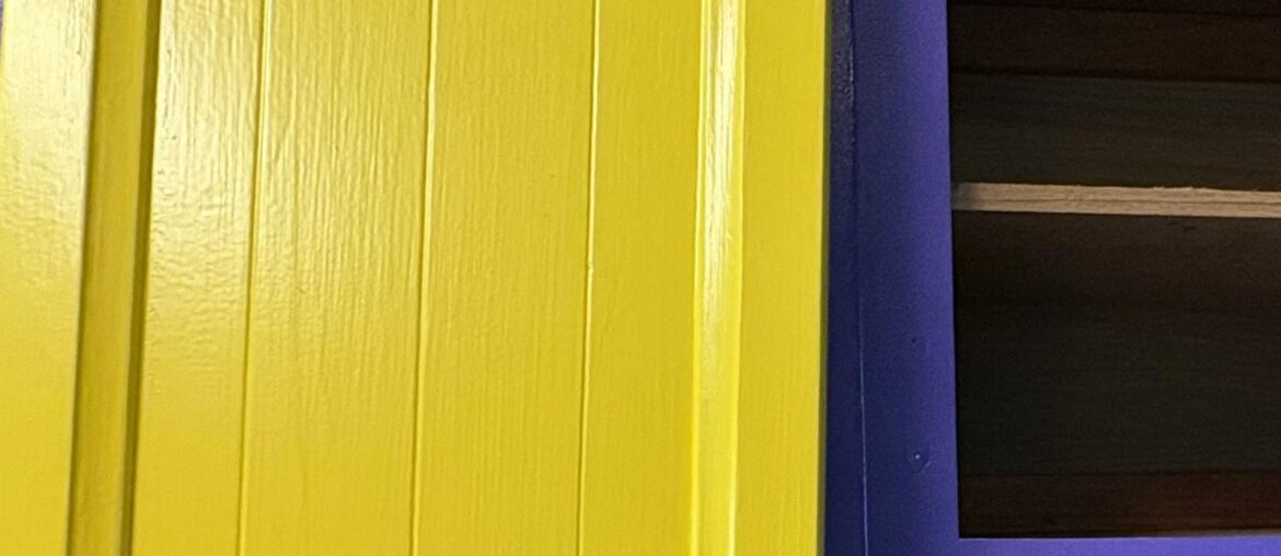 Do I like this color combo?