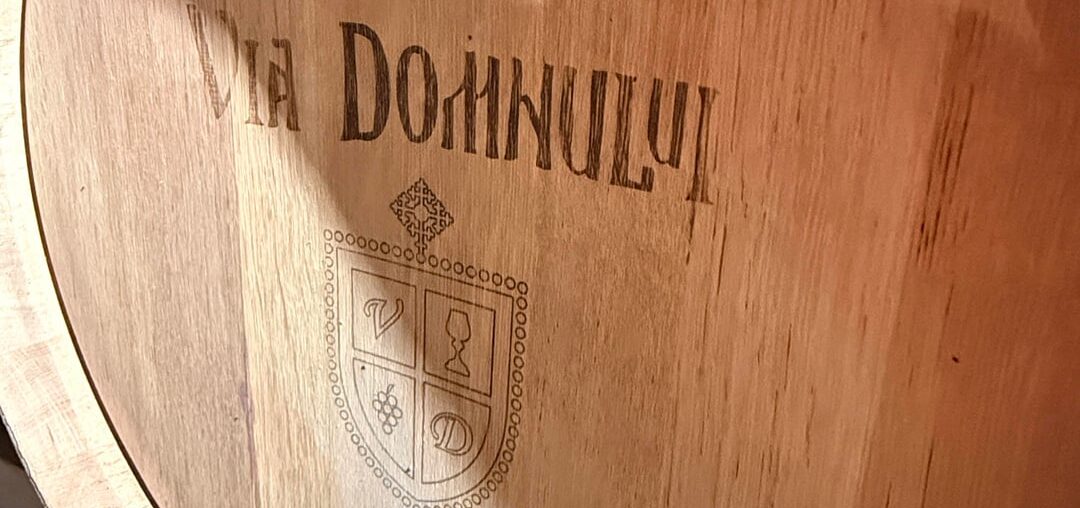 Romanian Wine Tour Recap 🇷🇴