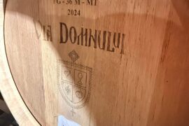 Romanian Wine Tour Recap 🇷🇴