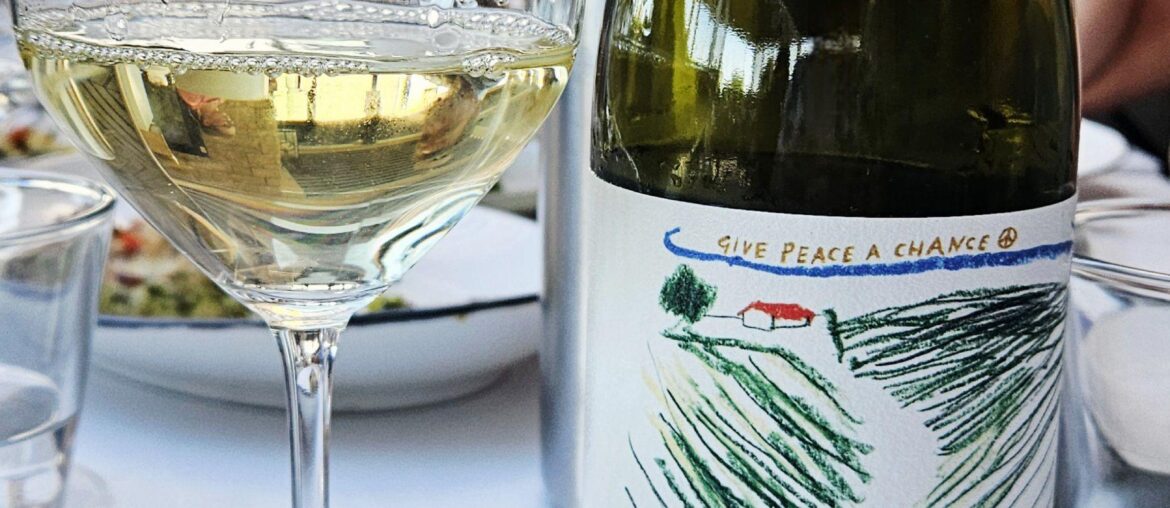 Terralibera Verdicchio dei Castelli di Jesi 2024, Italy