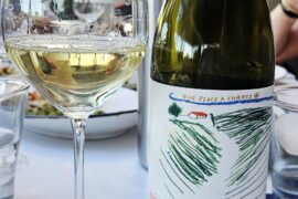 Terralibera Verdicchio dei Castelli di Jesi 2024, Italy