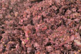 Faux ragù alla bolognese