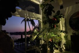 Thoughts on this plant corner and lights?