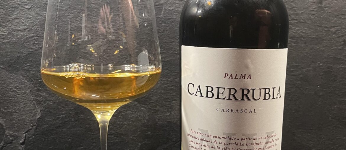 Luis Pérez - 'Fino' Palma Caberrubia Carascal - Saca IX.