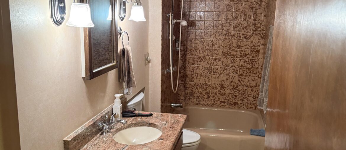 What are high ROI updates to this 1970s bathroom? Budget <$1k.