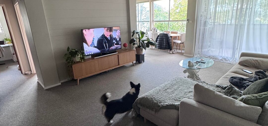 Need help making my living room look and feel better