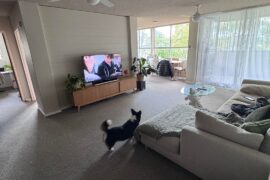 Need help making my living room look and feel better