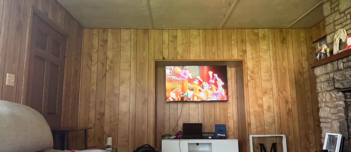 Help with living room decor!