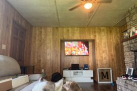 Help with living room decor!