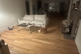 Help with furniture placement and decor in open living room