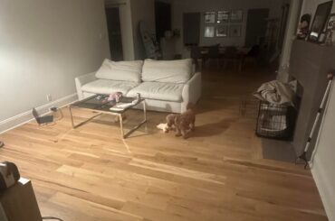 Help with furniture placement and decor in open living room