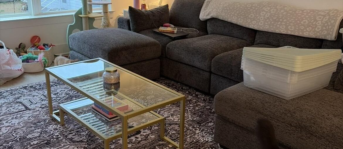 help with wall decor!