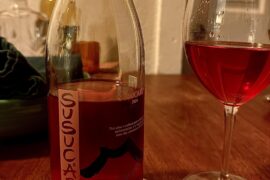 First Time With Susucaru