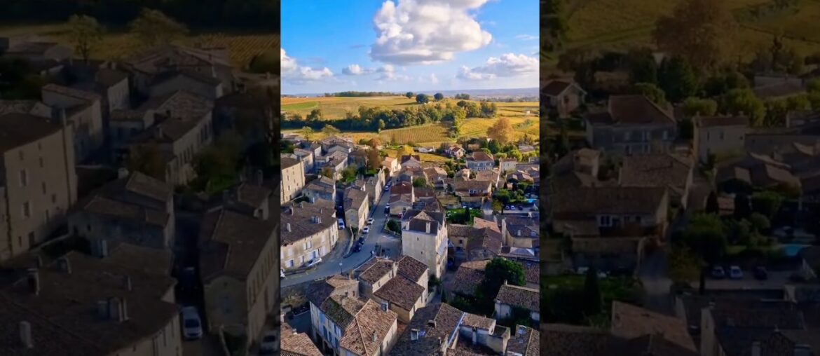 Saint emilion,France 🇫🇷#france #travel #wineyard #vine #bordeauxwine #bordeaux #europe #frenchwine