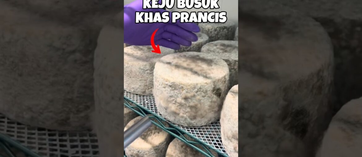 Mimolette keju busuk khas prancis