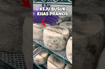 Mimolette keju busuk khas prancis