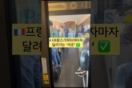 시속 300km로 달리는 프랑스 통창 뷰 맛집 ✨기차 여행의 낭만 치사량 초과.. 파리에서 테제베(TGV) 타면 카페 칸은 선택 아닌 필수! 🇫🇷