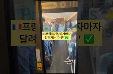 시속 300km로 달리는 프랑스 통창 뷰 맛집 ✨기차 여행의 낭만 치사량 초과.. 파리에서 테제베(TGV) 타면 카페 칸은 선택 아닌 필수! 🇫🇷