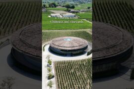 3 Reasons Wine Lovers Visit Bordeaux