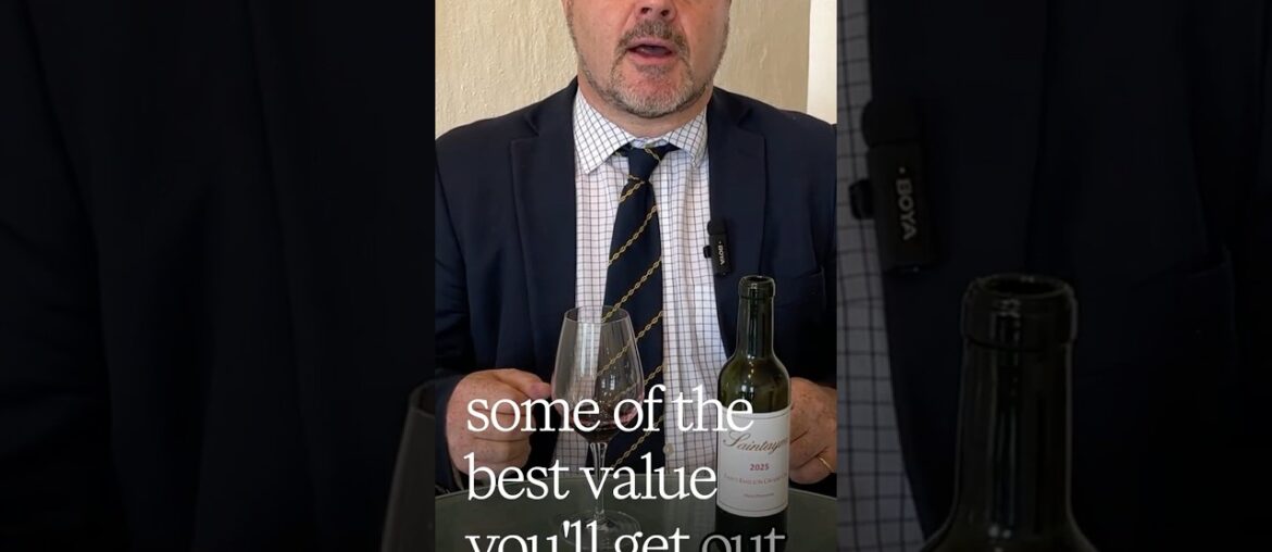Saintayme Possibly the Best Value Wine from 2025 Bordeaux #enprimeur2025