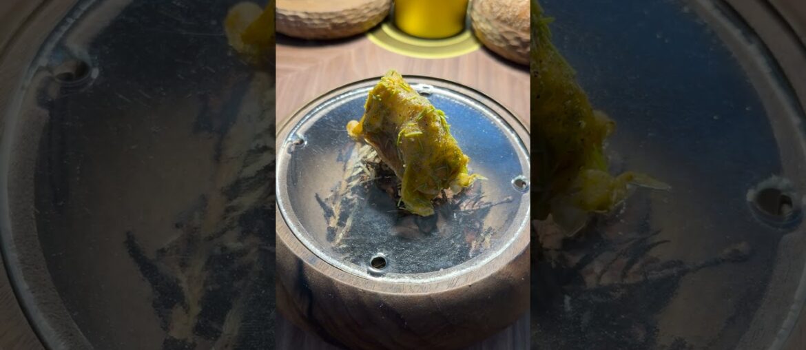 Baumanière 1850 | Courchevel, France　#foodie#restaurant#gastronomy#umamiholic