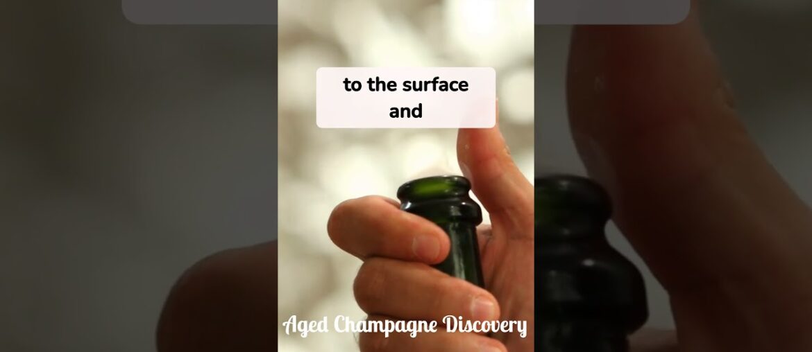 The Shipwreck Champagne of the Baltic Sea #worthitwines #champagne #winehistory #worthitstories