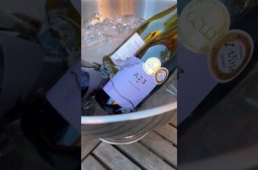 A23 Pinot Noir at perfect temperature #a23wines #redwine #pinotnoir #temperature #frenchwine #wine