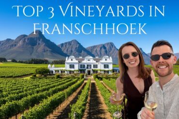 The Top 3 Vineyards in FRANSCHHOEK, SOUTH AFRICA 🍷 (Complete Guide)